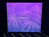 Portable Backlit Wall 3m × 2.5m with Carry Bags