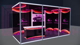 Unfold The Full Luminosity & Variety of Colors With Creative Luminars Exhibition Booth 20x10