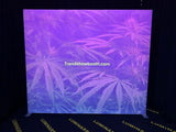 Portable LED Backlit Trade Show Lightboxes With Custom SEG Tension Fabric Graphic