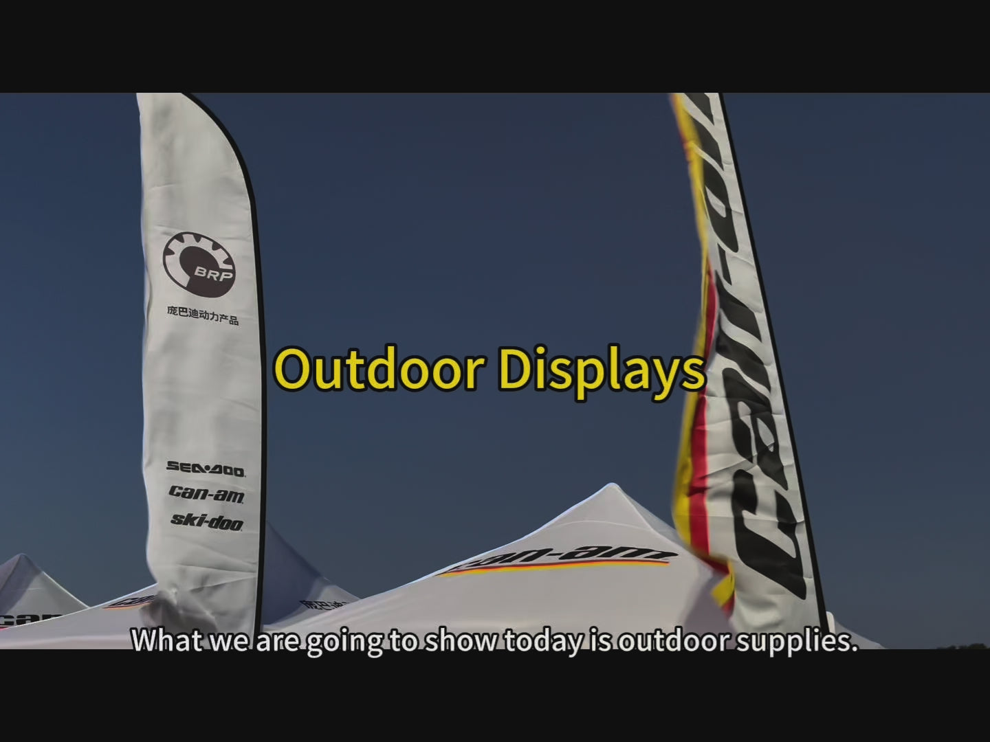 Outdoor Display Advertising Beach Flag D-B002